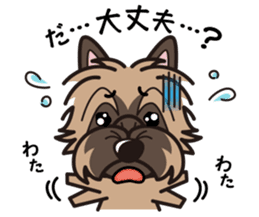 iinu - Cairn Terrier sticker #9065008