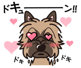 iinu - Cairn Terrier sticker #9065012