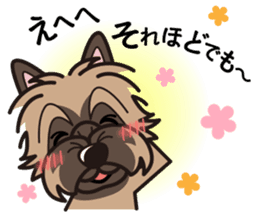 iinu - Cairn Terrier sticker #9065013