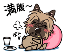 iinu - Cairn Terrier sticker #9065014