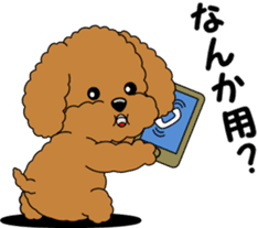 Toy Poodle parent and child sticker #9065457