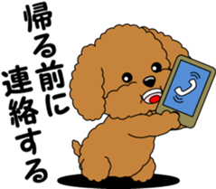 Toy Poodle parent and child sticker #9065463