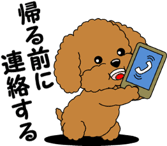 Toy Poodle parent and child sticker #9065463