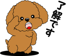 Toy Poodle parent and child sticker #9065485