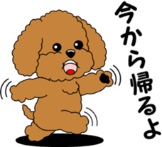 Toy Poodle parent and child sticker #9065486