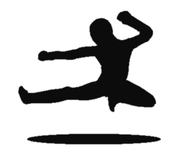 Human shadow sticker #9066994