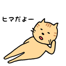 Outing of cat sticker #9067777