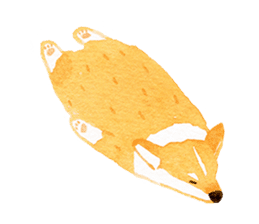 My animal friends. sticker #9068402