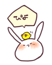 Rabbit sometimes piyo sticker #9068807