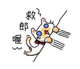 Egg kitty sticker #9069187