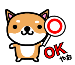 The dog born in Gifu.vol.2 sticker #9069696