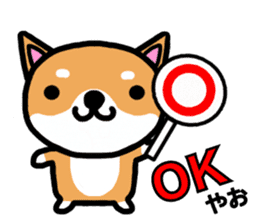 The dog born in Gifu.vol.2 sticker #9069696