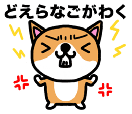 The dog born in Gifu.vol.2 sticker #9069699
