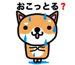 The dog born in Gifu.vol.2 sticker #9069700