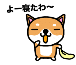 The dog born in Gifu.vol.2 sticker #9069701