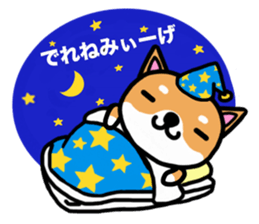 The dog born in Gifu.vol.2 sticker #9069702