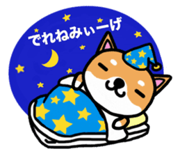 The dog born in Gifu.vol.2 sticker #9069702