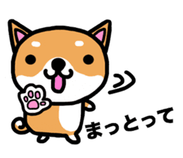 The dog born in Gifu.vol.2 sticker #9069704