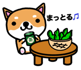 The dog born in Gifu.vol.2 sticker #9069705