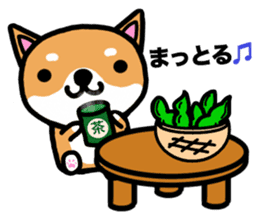 The dog born in Gifu.vol.2 sticker #9069705