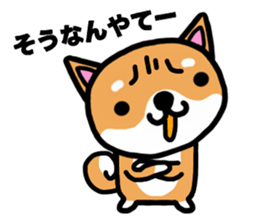 The dog born in Gifu.vol.2 sticker #9069706