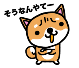The dog born in Gifu.vol.2 sticker #9069706