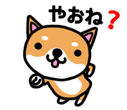The dog born in Gifu.vol.2 sticker #9069707