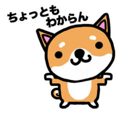 The dog born in Gifu.vol.2 sticker #9069708