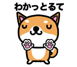 The dog born in Gifu.vol.2 sticker #9069709