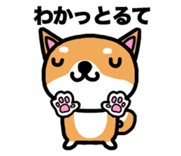The dog born in Gifu.vol.2 sticker #9069709