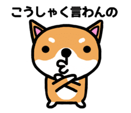 The dog born in Gifu.vol.2 sticker #9069712