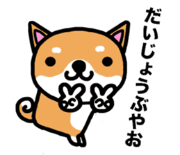 The dog born in Gifu.vol.2 sticker #9069713