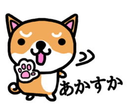 The dog born in Gifu.vol.2 sticker #9069714