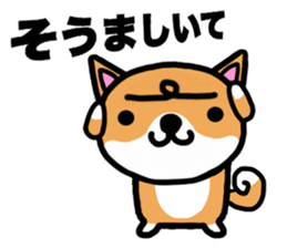 The dog born in Gifu.vol.2 sticker #9069715