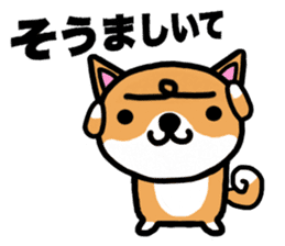 The dog born in Gifu.vol.2 sticker #9069715