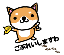 The dog born in Gifu.vol.2 sticker #9069716