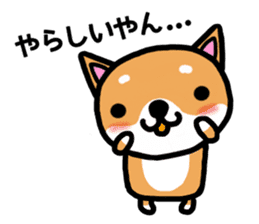 The dog born in Gifu.vol.2 sticker #9069717