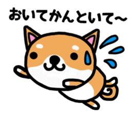 The dog born in Gifu.vol.2 sticker #9069719