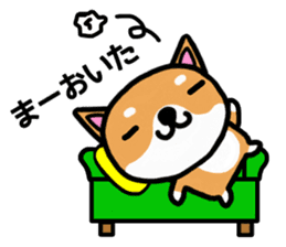 The dog born in Gifu.vol.2 sticker #9069721