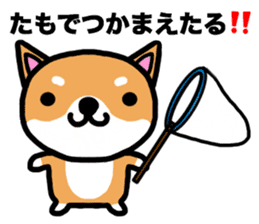 The dog born in Gifu.vol.2 sticker #9069723