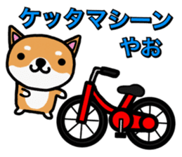 The dog born in Gifu.vol.2 sticker #9069725
