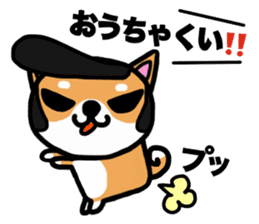 The dog born in Gifu.vol.2 sticker #9069727