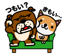 The dog born in Gifu.vol.2 sticker #9069729
