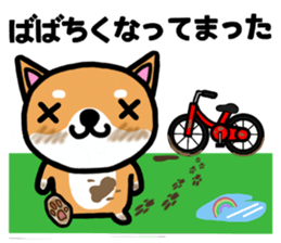 The dog born in Gifu.vol.2 sticker #9069730