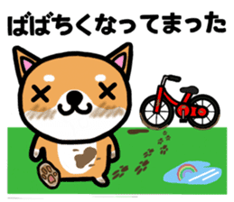 The dog born in Gifu.vol.2 sticker #9069730