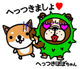 The dog born in Gifu.vol.2 sticker #9069733