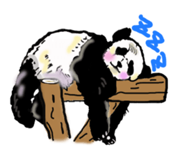 Heart of the panda sticker #9070139