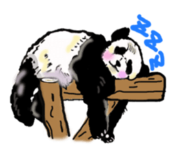 Heart of the panda sticker #9070139