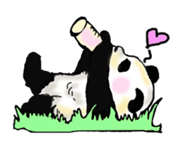 Heart of the panda sticker #9070141