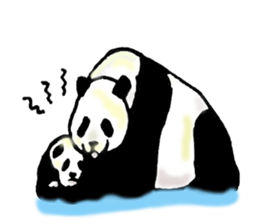 Heart of the panda sticker #9070143